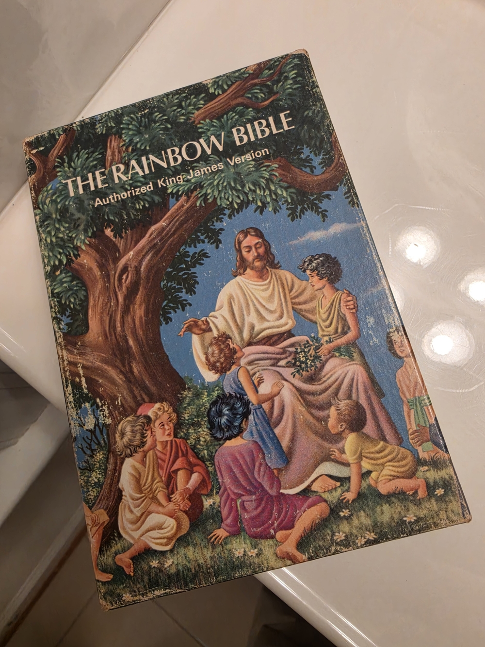 The Rainbow Bible - Illustrated Wall Art Print in Multi-Color